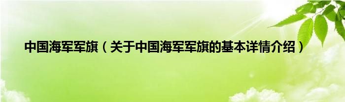 中国海军军旗(关于中国海军军旗的基本详情介绍)