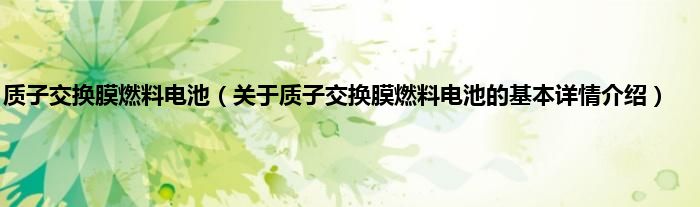 质子交换膜燃料电池(关于质子交换膜燃料电池的基本详情介绍)