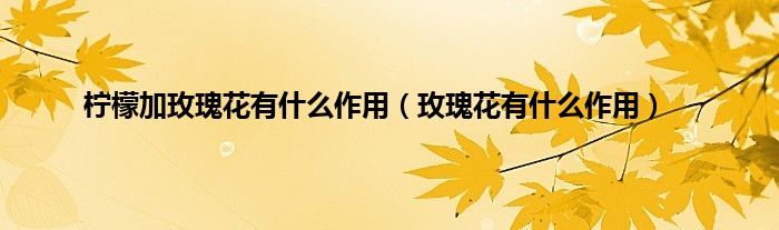 柠檬加玫瑰花有什么作用（玫瑰花有什么作用）