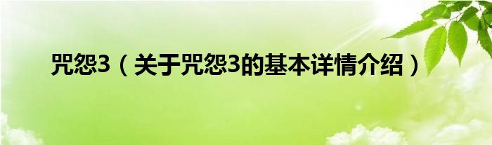 咒怨3(关于咒怨3的基本详情介绍)
