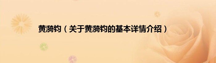 黄漪钧（关于黄漪钧的基本详情介绍）