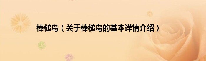 棒槌岛(关于棒槌岛的基本详情介绍)