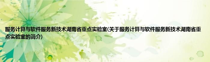 服务计算与软件服务新技术湖南省重点实验室(关于服务计算与软件服务新技术湖南省重点实验室的简介)