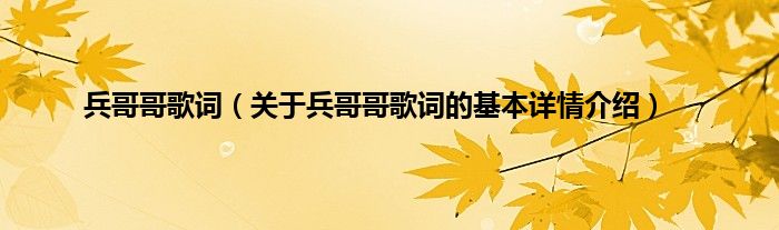 兵哥哥歌词（关于兵哥哥歌词的基本详情介绍）