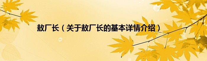 敖厂长(关于敖厂长的基本详情介绍)