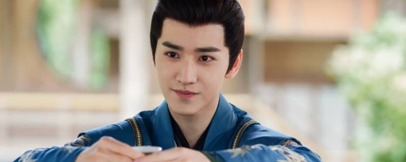 王弘毅怎么出道的