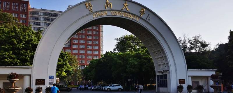 暨南大学会计学在河南招多少人