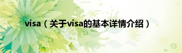 visa（关于visa的基本详情介绍）