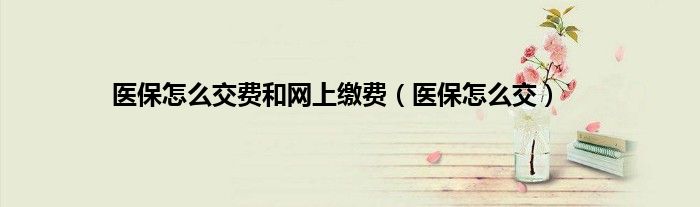 医保怎么交费和网上缴费（医保怎么交）
