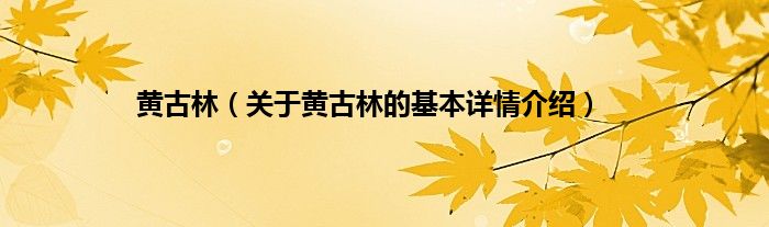 黄古林（关于黄古林的基本详情介绍）